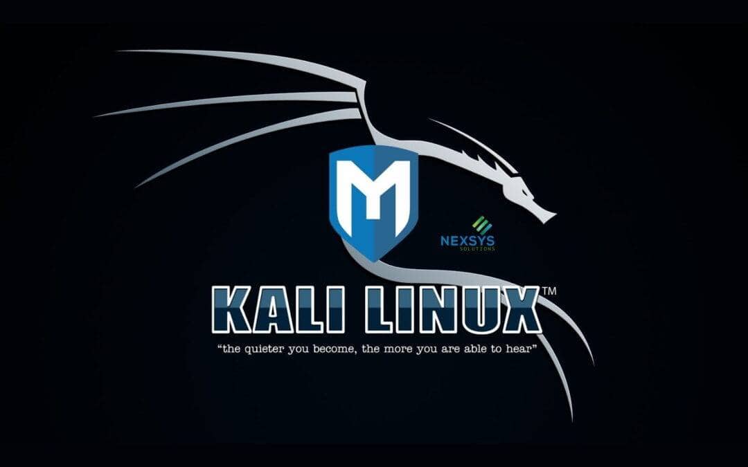 Kali Linux & Metasploit: Basi di Penetration Testing
