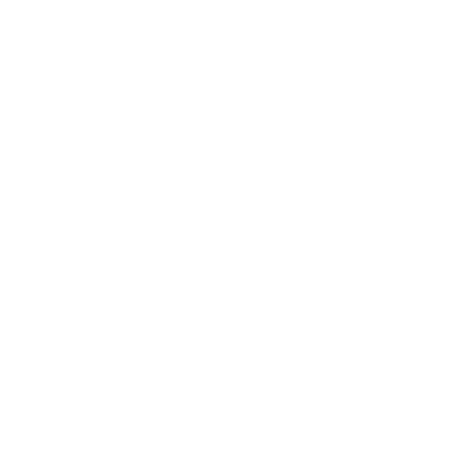 cv icon