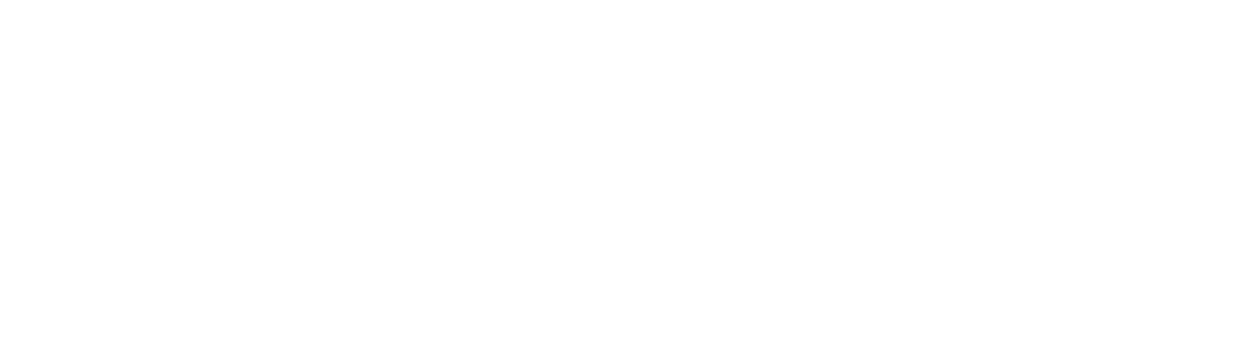 logo nexsys 01 bianco logo nexsys 01