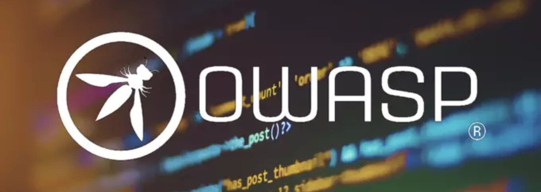 logo ufficiale di owasp (open web application security project) in bianco su sfondo sfocato con linee di codice sorgente.