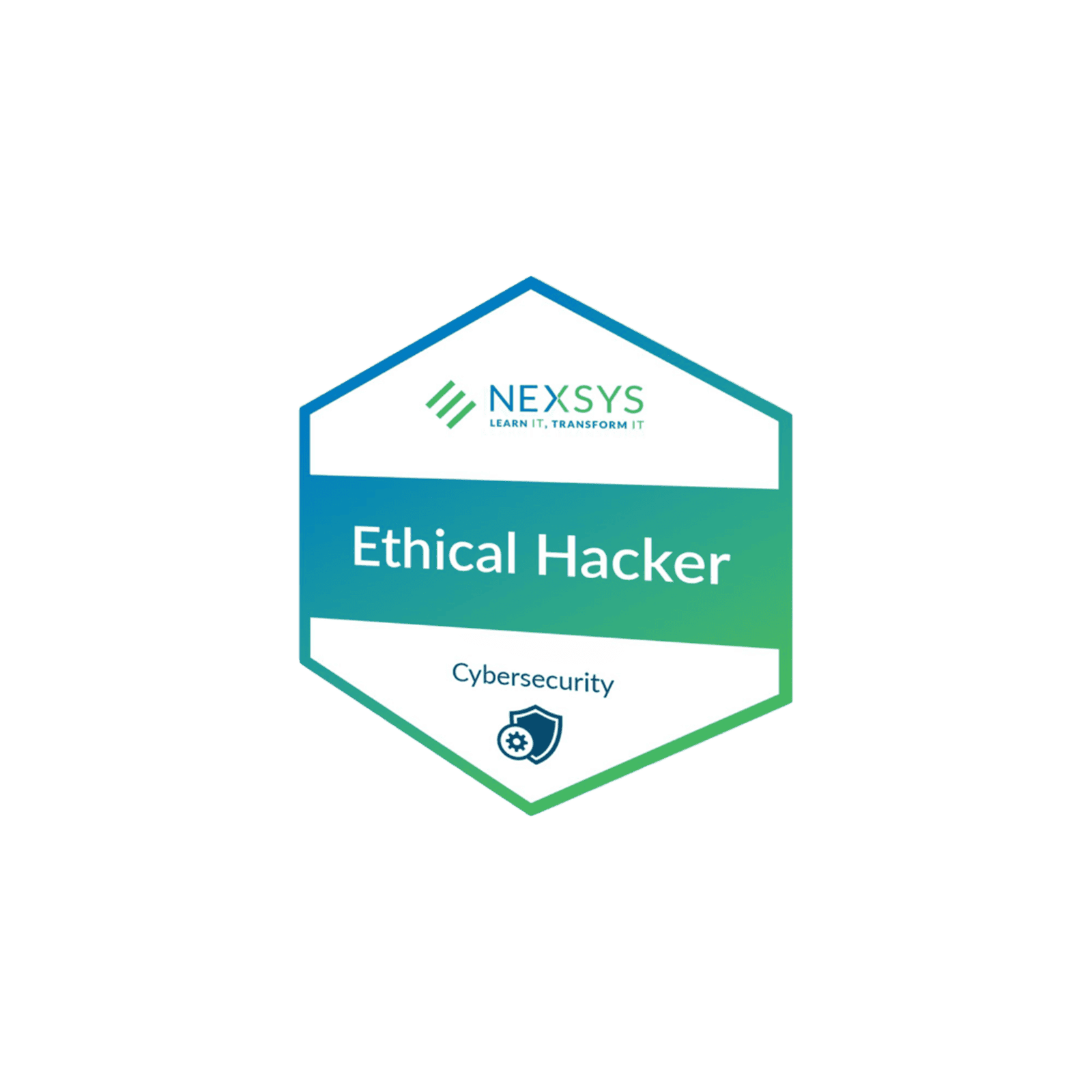 open badge_def ethical hacker open badge web